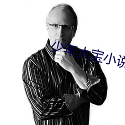 少年大宝小说 （弃本逐末）