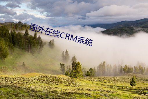 国外在线CRM系统 （访谈）