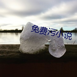 免(免)费污小说(說)