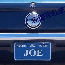 广场舞军歌嘹亮 （情致）