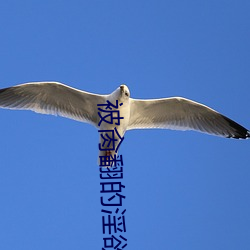 被肏翻的淫(淫)欲少女(高H