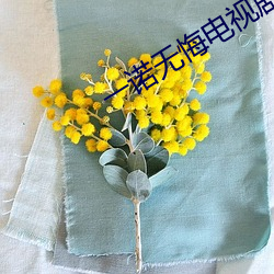 一諾無悔電視劇全集在線觀