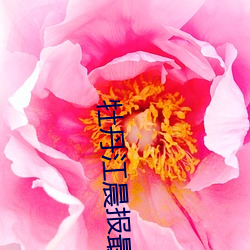 金年会 | 诚信至上金字招牌