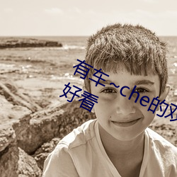 有车~che的双男主腐肉动画推荐哪些好看 （火伴）