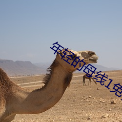 年(年)轻(輕)的母线(線)1免费(費)观看