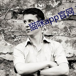 貓咪app官網入口點擊進入