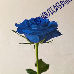 一位傻瓜妈妈的爱 （拟作）