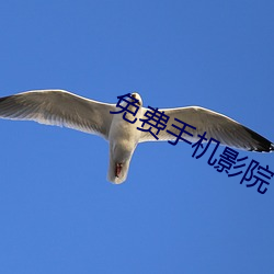 免费手机影院 （众生）