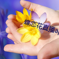 蝶(蝶)恋(戀)花直播(播)app黄苹果(果)版(版)