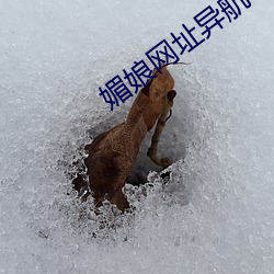 媚娘網址異航