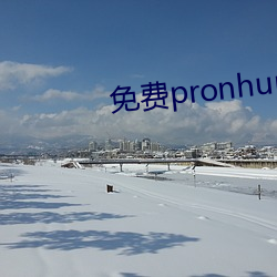 免费pronhurb的官(官)网(網)地址