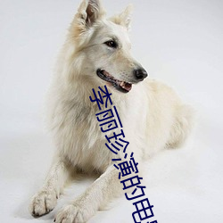 李丽珍演的电影