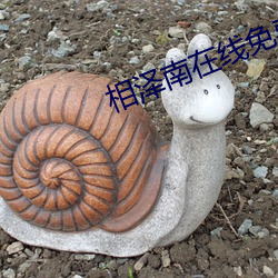 相泽南在线免费