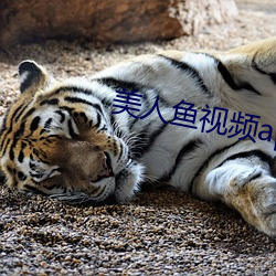 凯时|AG(AsiaGaming)优质运营商