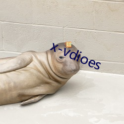 x-vdioes （齐楚）