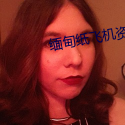 缅甸纸飞(fēi)机资(zī)源群