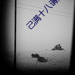 己满十八请点此