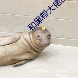 和(hé)黑帮大佬的365天(tiān)在免费(fèi)
