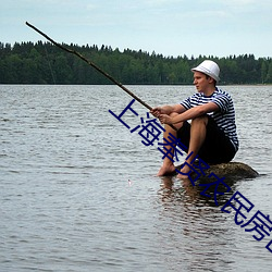 上海奉贤农民房出售