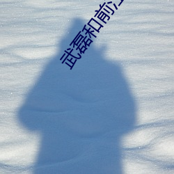 武磊和前江蘇隊球員出資組