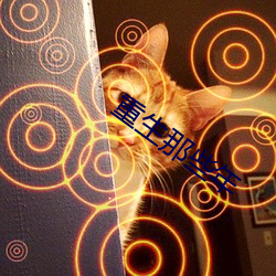 重生那些年