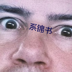 系锦书