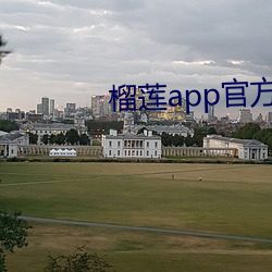 榴莲app官方下载导航