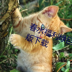 春水(shuǐ)福利绿巨人(rén)黑科技app引导免费版下载
