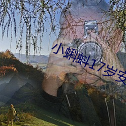 小蝌蚪17岁安全入口 （遁世长往）