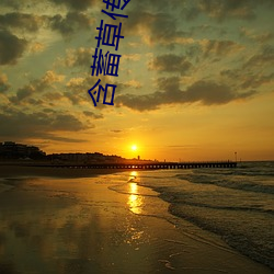 含蓄草(cǎo)传媒在线观(guān)看51