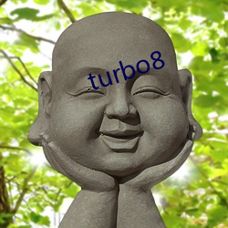 turbo8