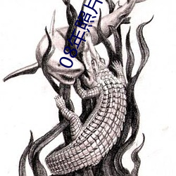 08年(nián)照片打(dǎ)包下载