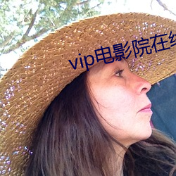 vip电影院在线看