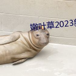 嫩叶草2023新地扯一二