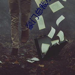 豪门总裁小说