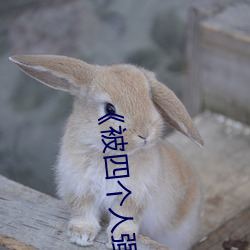 《被四个人强伦姧人妻完》 （悔不当初）