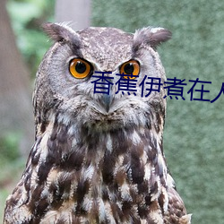 香蕉伊煮在人线(xiàn)国产