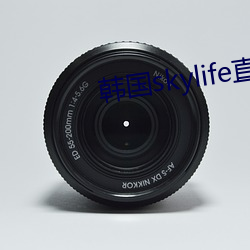 韓國skylife直播平台dmb