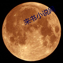 来书(書)小说(說)网