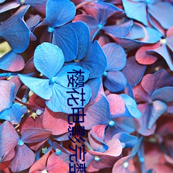 樱花(huā)电影完整版观影(yǐng)报告