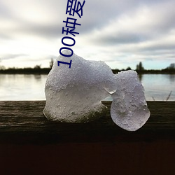 100种爱的方式图示 （济事）