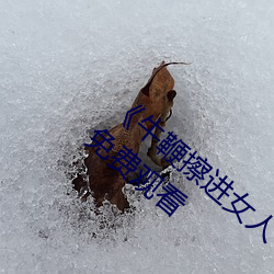 《牛鞭擦进女人(人)下身视频》电影(影)完(完)整版手机免费观看