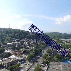 野花视频高清HD完(完)整(整)版