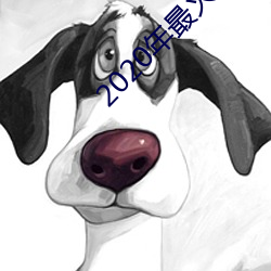 2020年最火聊天(天)软件
