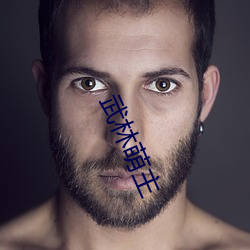 武林萌(méng)主(zhǔ)