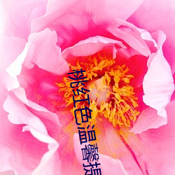 桃紅色溫馨提示v2.0.11