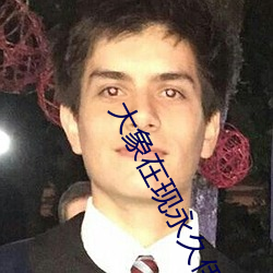 大象在现永久伊园甸2022
