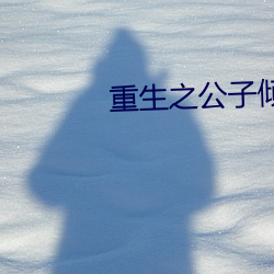 重生之公子倾城 （十拷九棒）