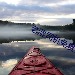 老湿司机免费体检区私人线上