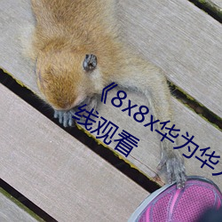 《8x8x華爲華人永久免費視頻》高清在線觀看